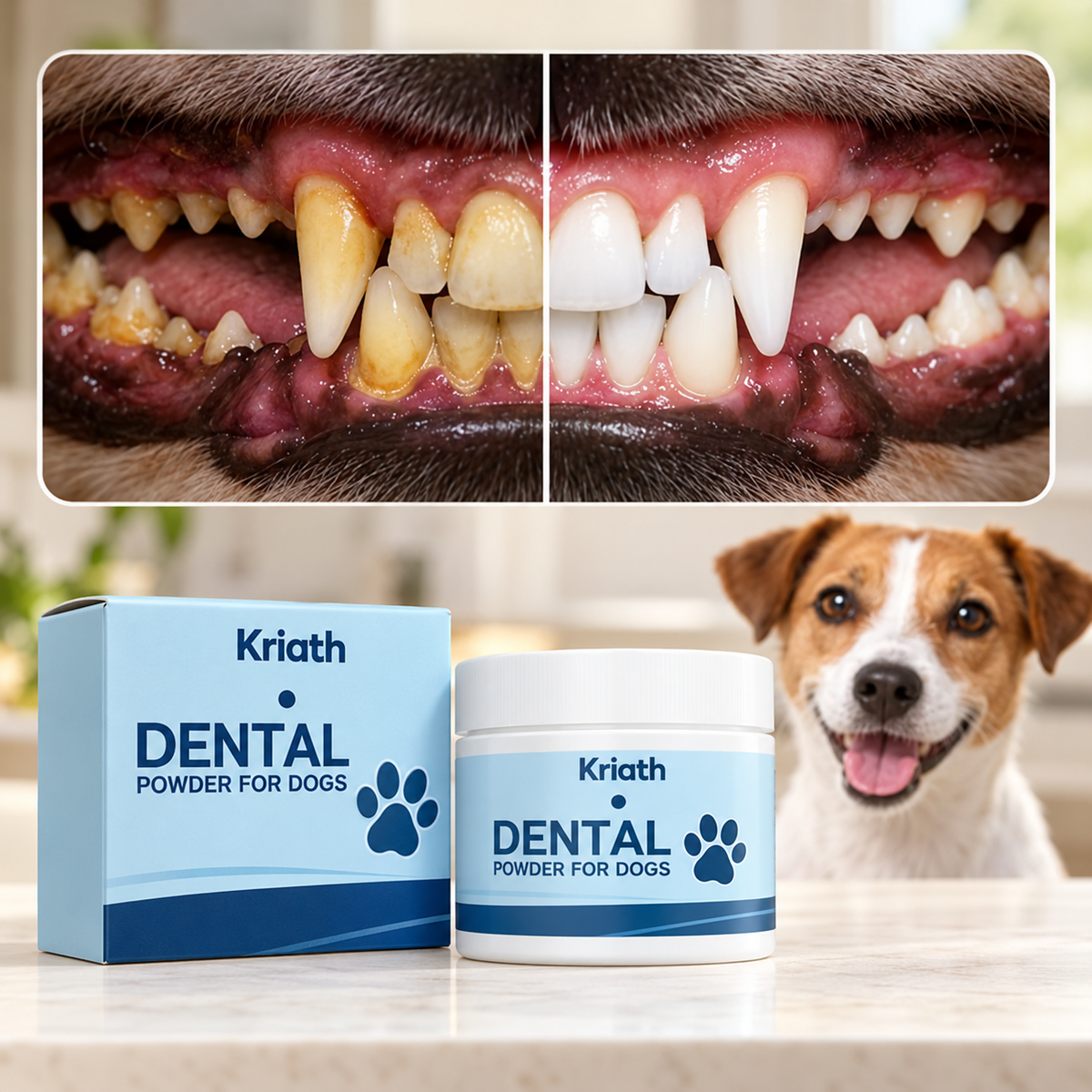 Dog Dental Care Powder