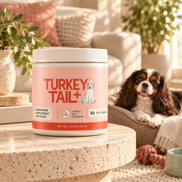 Probiotic Granules for Dogs & Cats