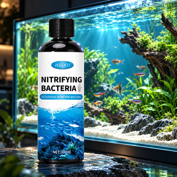 Aquarium Nitrifying Bacteria Liquid – 300 ml