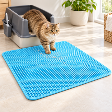Double-Layer Cat Litter Mat