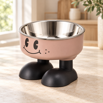 Raised Pet Food & Water Bowl