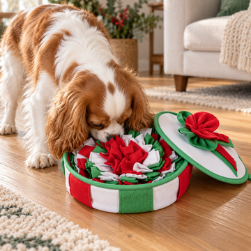 Dog Snuffle Box for Treat-Hiding Games
