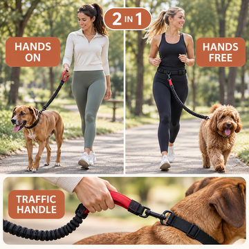 2-in-1 Hands-Free & Handheld Dog Leash