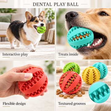 Treat-Fillable Dog Play Ball – 5 cm & 7 cm