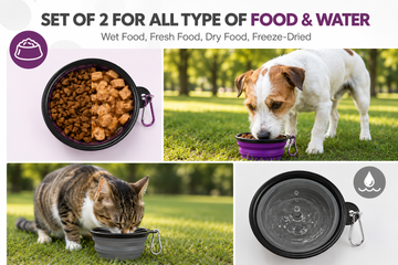 Additional view of WiniBoop Foldable Silicone Dog Bowl – 2-in-1 Travel Feeder with Carabiner
