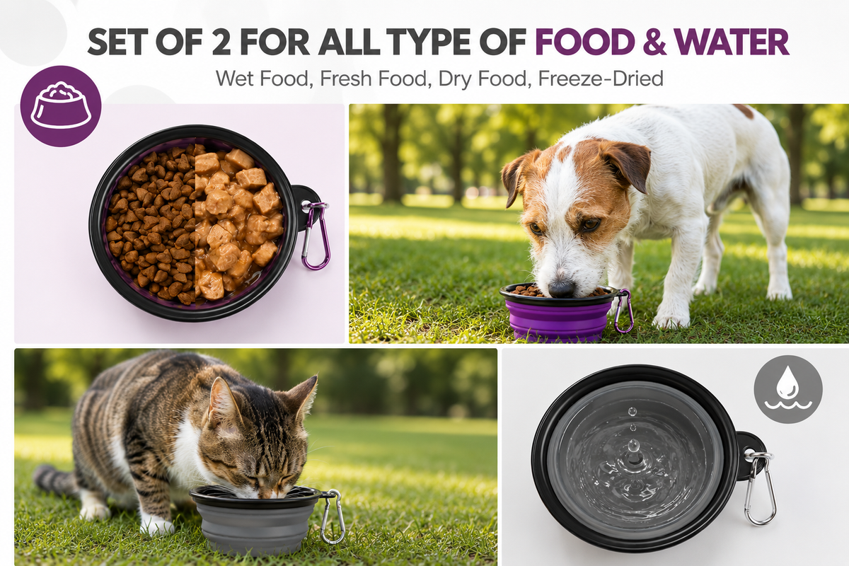 WiniBoop Foldable Silicone Dog Bowl – 2-in-1 Travel Feeder with Carabiner