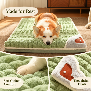 Dog Cushion Bed