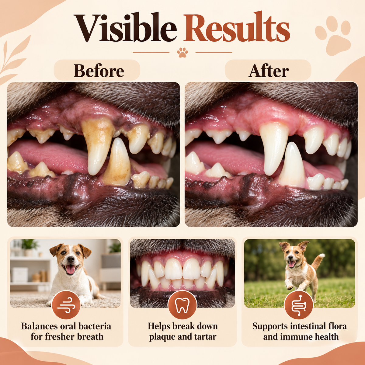 Dog Dental Care Powder