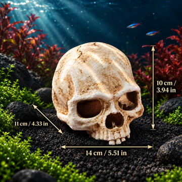 Resin Skull Hideout Ornament for Aquariums & Terrariums