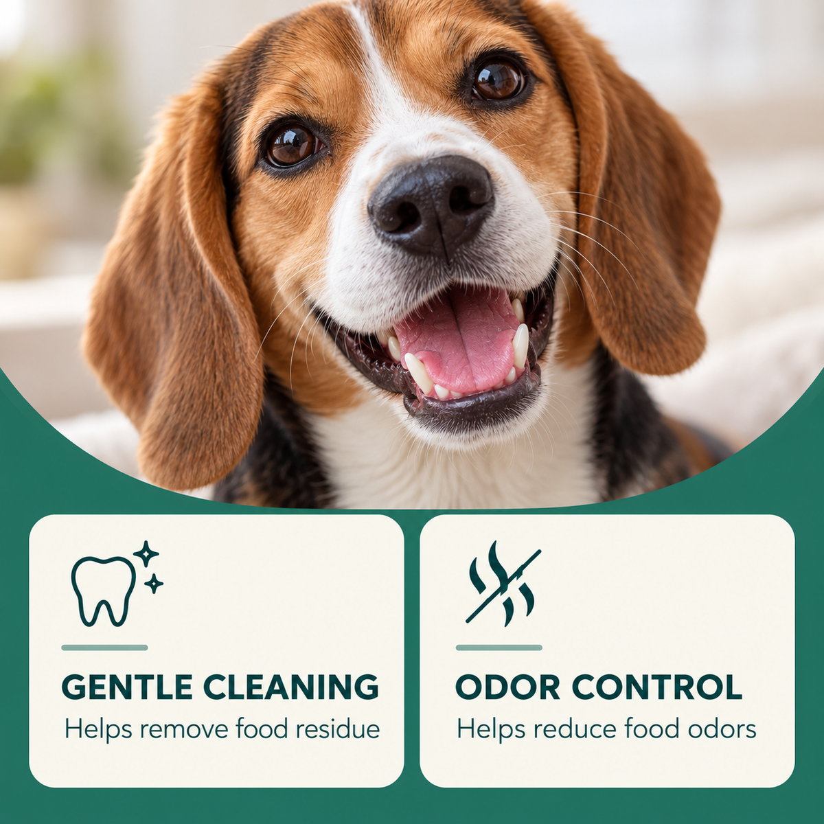 Dog Toothbrushing Powder