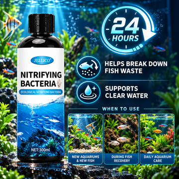 Aquarium Nitrifying Bacteria Liquid – 300 ml