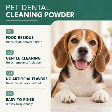 Dog Toothbrushing Powder