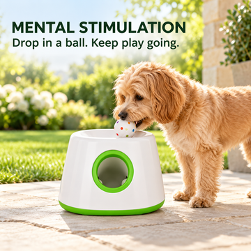 Automatic Dog Ball Launcher