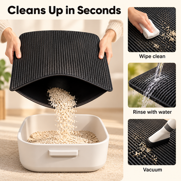 Double-Layer Cat Litter Mat