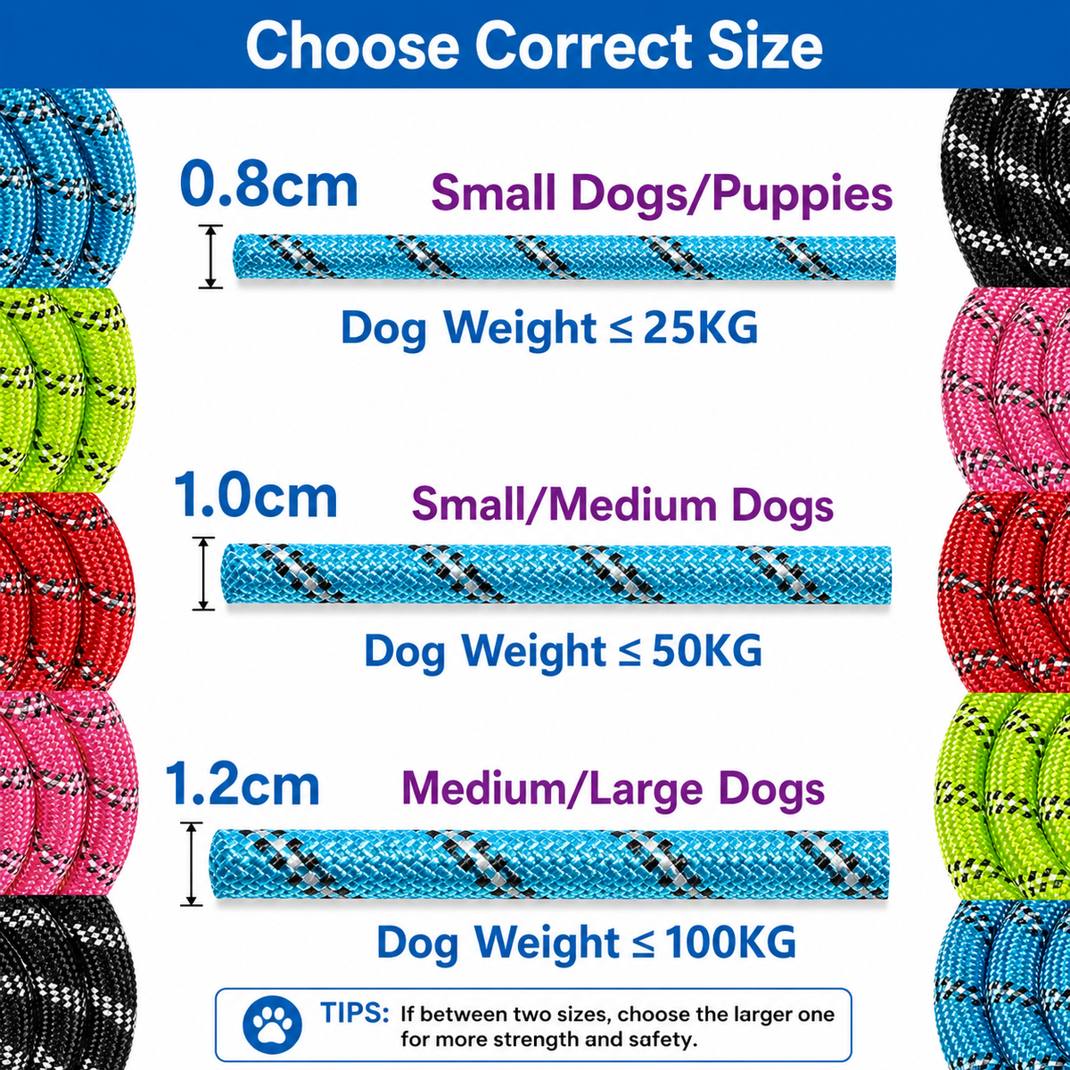 Reflective Dog Leash – Strong Nylon Rope with Soft Handle