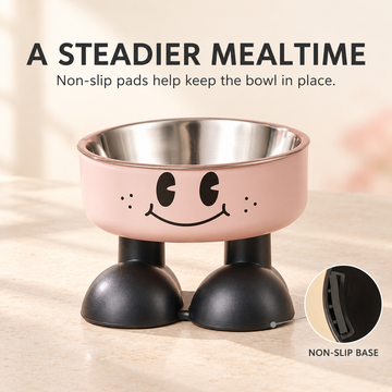 Raised Pet Food & Water Bowl