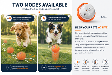 Additional view of Smart Interactive Ball Toy for Dogs