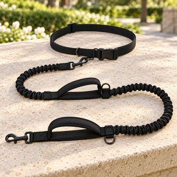 2-in-1 Hands-Free & Handheld Dog Leash
