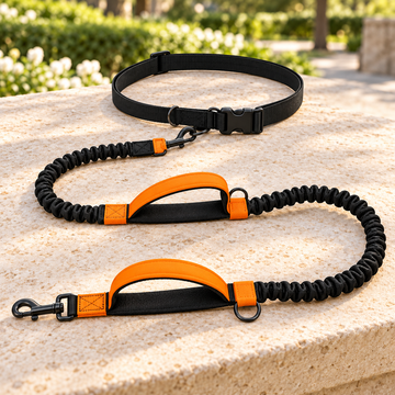 2-in-1 Hands-Free & Handheld Dog Leash