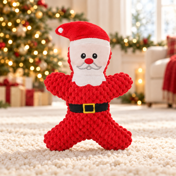 Christmas Plush Squeaky Dog Toys