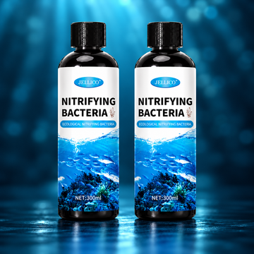 Aquarium Nitrifying Bacteria Liquid – 300 ml