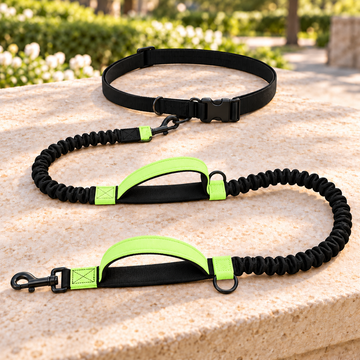 2-in-1 Hands-Free & Handheld Dog Leash