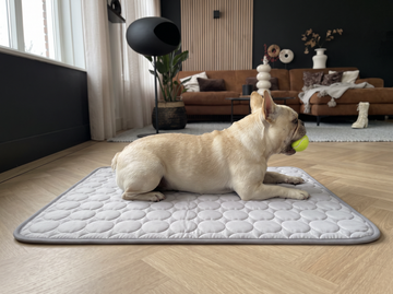 Ice Silk Pet Cooling Mat in grey